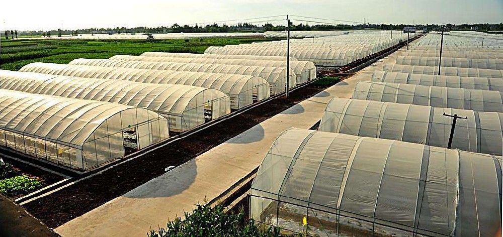 方矩管在溫室大棚中的應用